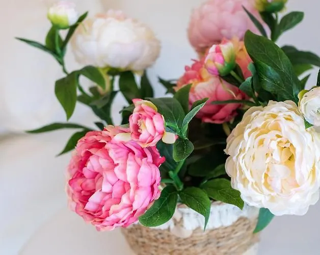 Grace Luxury Next To Old Town *