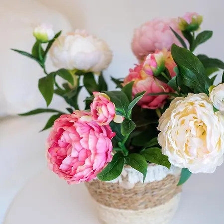 Grace Luxury Next To Old Town *